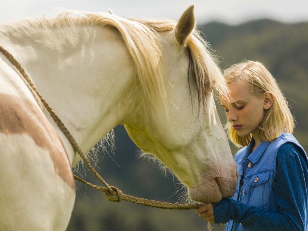 Kinotipp der Woche: Wendy - Der Film | Bamberg Guide ...