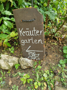 Kraeuterwanderung_Gruppe