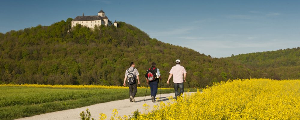 Wanderzeit im Bamberger Land