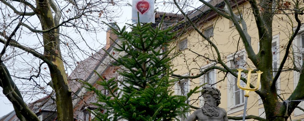 „Baum der Hoffnung“ am Dienstag der Öffentlichkeit übergeben