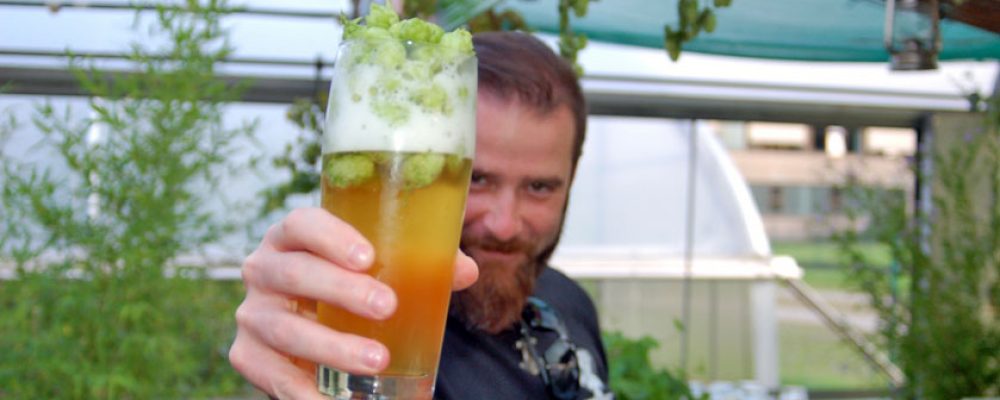 Craft Beer made in Bamberg: Hopfenzupferfest am Wochenende