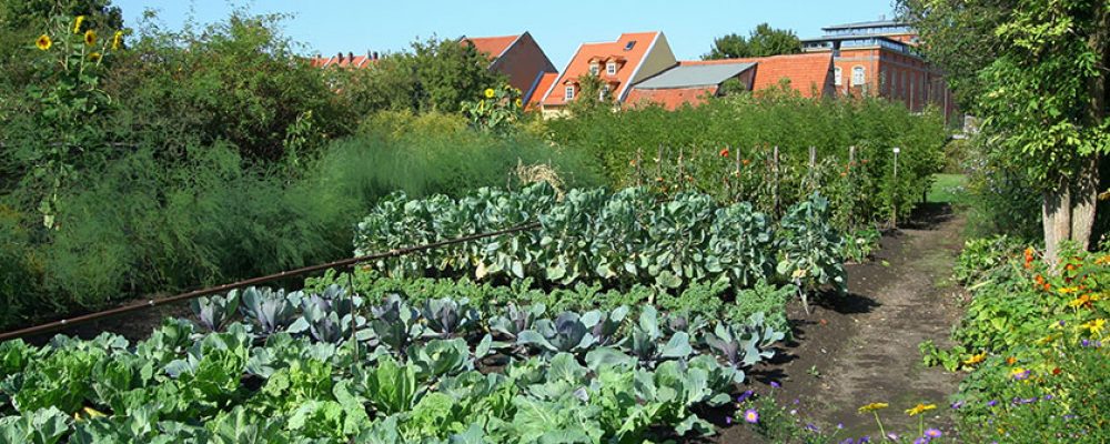 Gartenbauprämie zum Erhalt des Welterbes