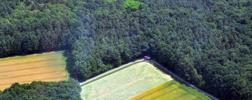 Immense Waldbrandgefahr in und um Bamberg