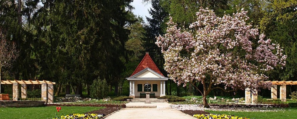 Der „neue“ Botanische Garten im Hain