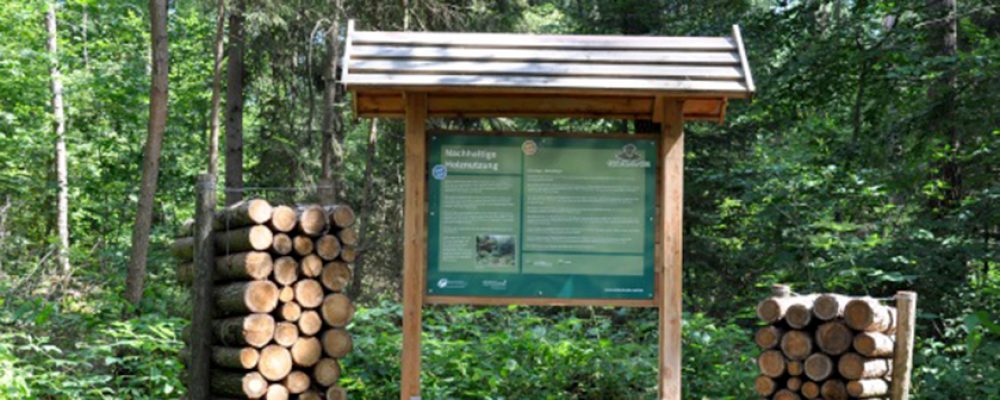 Holz statt Plastik im Bruderwald