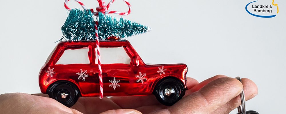 Gewusst wie! – Weihnachtsbaum richtig transportieren