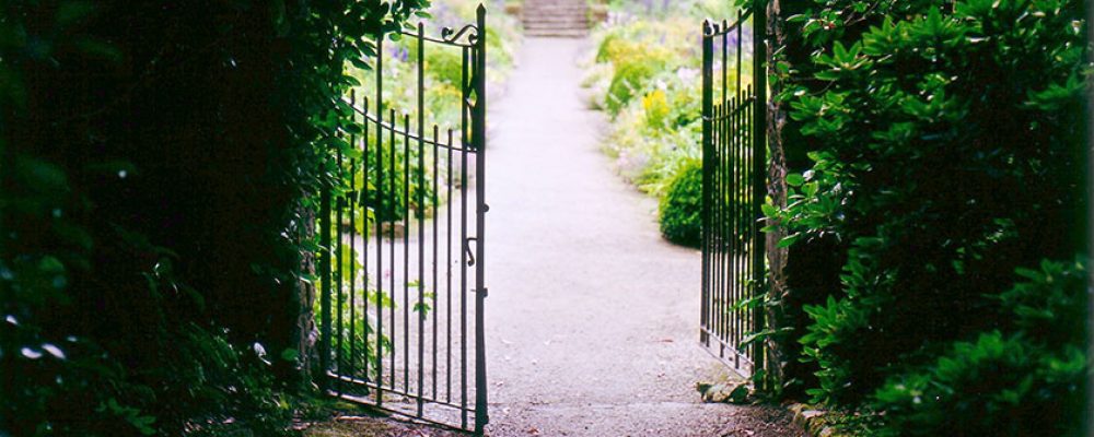 „Gartengespräche“ statt „Tag der offenen Gartentür“