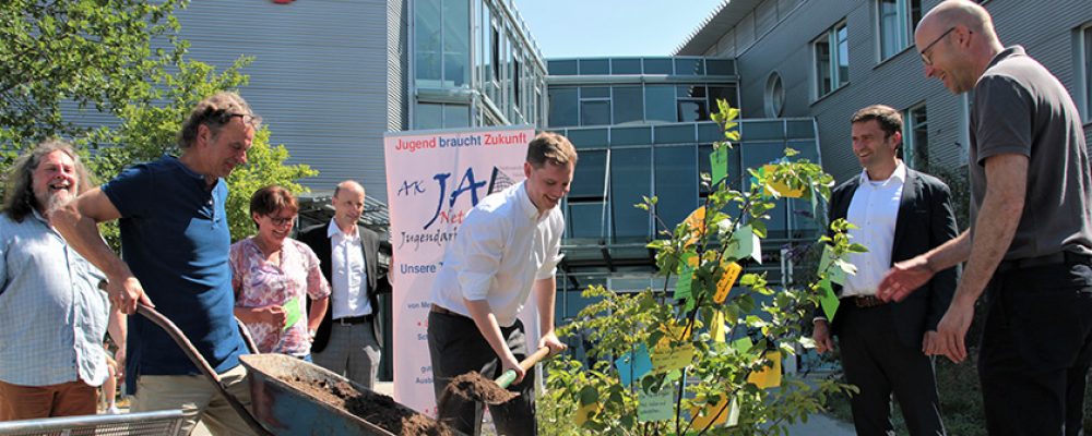 Was ein Aprikosenbaum in Bamberg mit guter Ausbildung zu tun hat