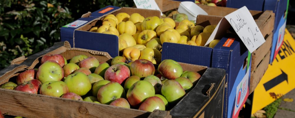 Obst von heimischen Wiesen kaufen