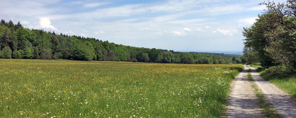 200 Kilometer zu Fuß: Von Frankfurt nach Bamberg in acht Tagen