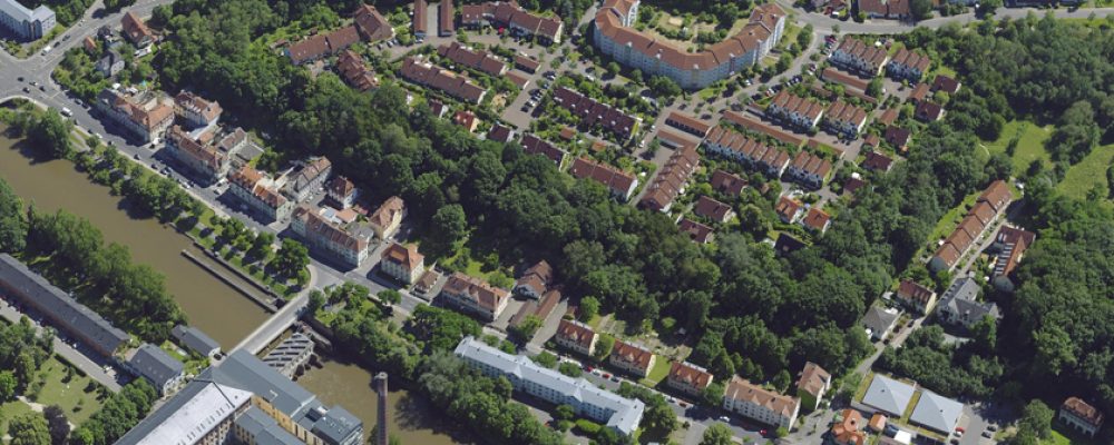 Hangbiotop in Gaustadt bedarf der Pflege