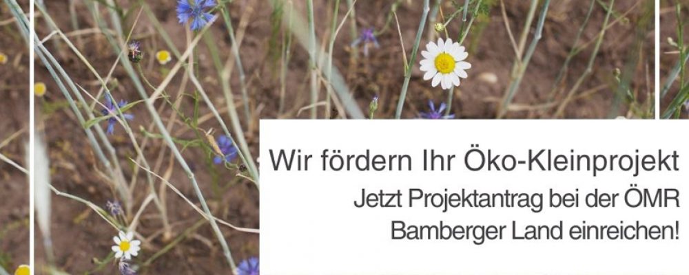 Förderung für Öko-Kleinprojekte 2024