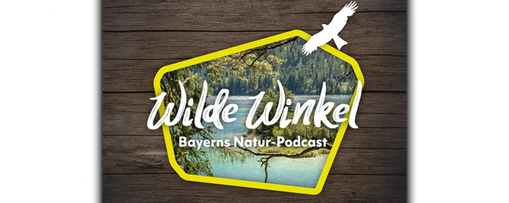 „Wilde Winkel“ vor der Haustür