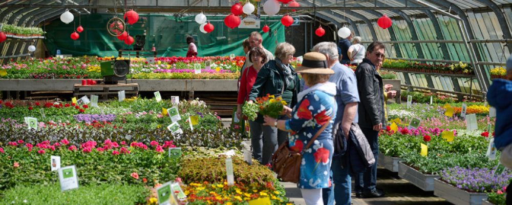 Mit frischem Grün aus dem Welterbe ins Gartenjahr starten